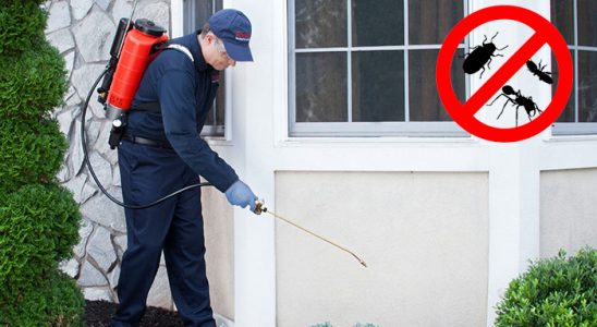 Pozantı Kene İlaçlama böcek ilaçlama ve haşere kontrolü — ilaclama-tr.com
